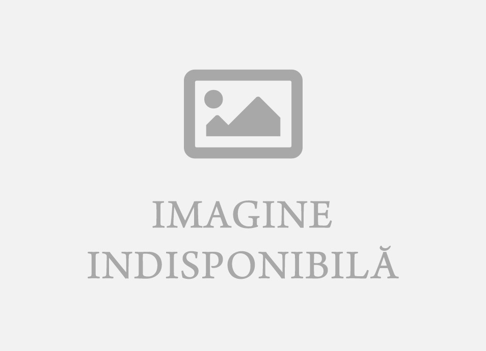 Cursuri ECDL / ICDL intensive (inclusiv pregătire, simulare și testare)