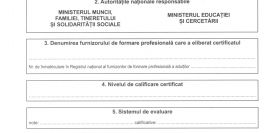 Supliment descriptiv (CERTIFICAT EUROPASS)